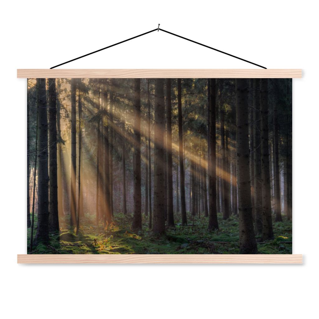 MuchoWow Textilposter Bäume - Wald - Sonne - Pflanzen 120x80 cm mit holzfarbenen Rahmen - Aufhängeset