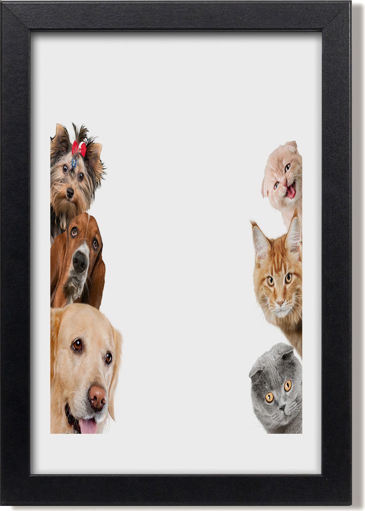 Bild 20x30 MDF-Rahmen, Wandkunst Hunde und Katzen