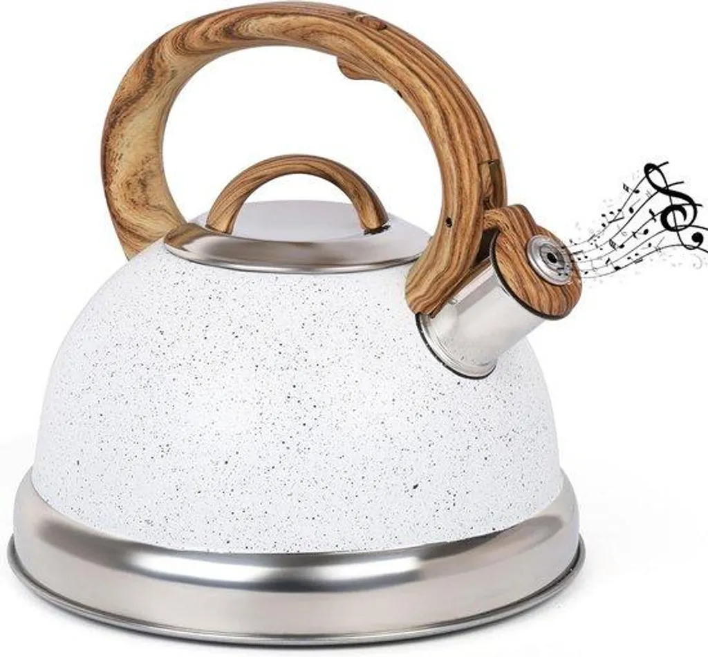 Bouilloire de camping 3L en inox - Théière compatible induction et gaz