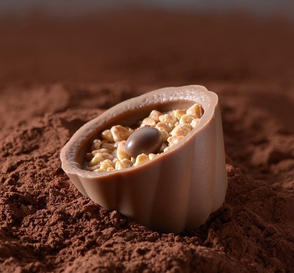 Lindt Pralines Hochfein z klasyczną, delikatną czekoladą Zdjęcie produktu 19