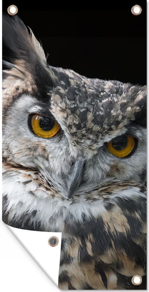 MuchoWow 30x60 cm Outdoor-Poster Gartendeko Sichtschutz Garten Poster für den Garten Porträt einer braunen Eule auf schwarzem Hintergrund