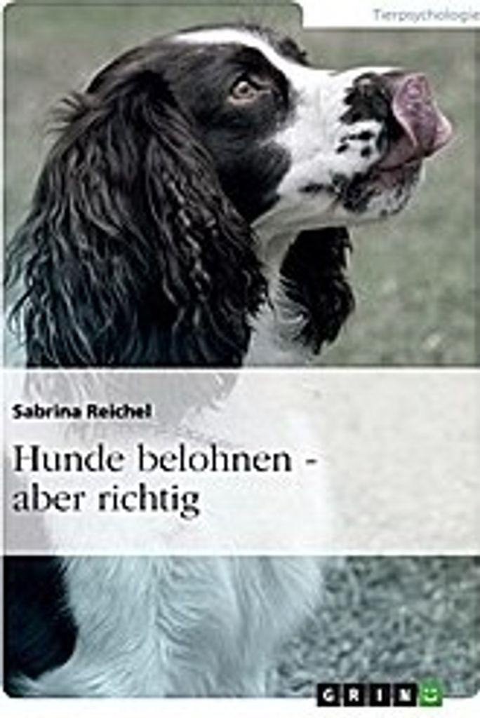 Hunde belohnen - aber richtig