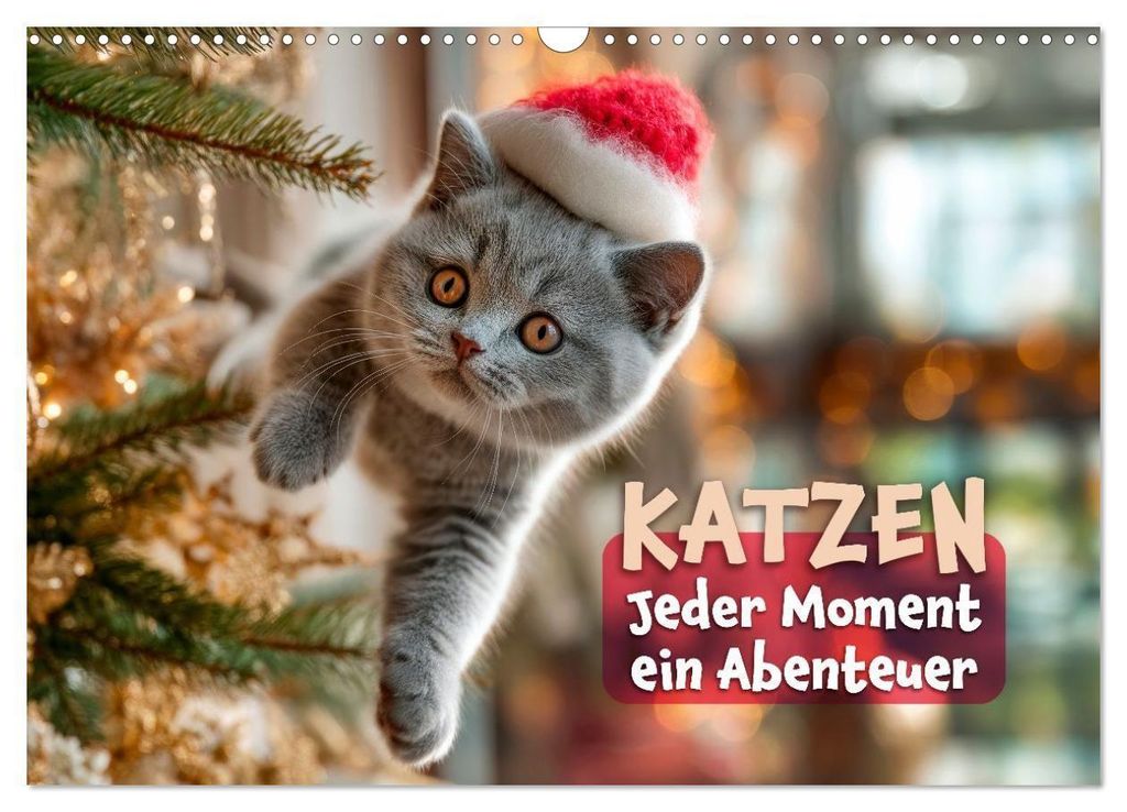 Katzen - Jeder Moment ein Abenteuer (Wandkalender 2027 DIN A3 quer), CALVENDO Monatskalender