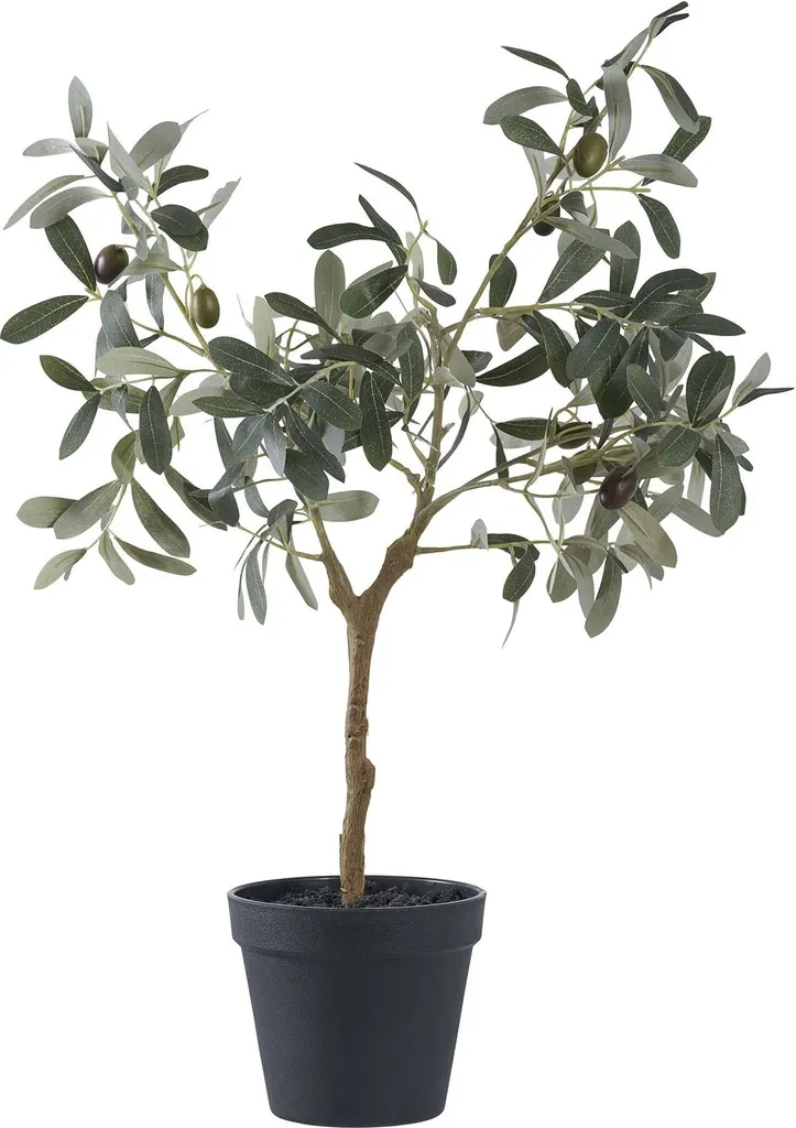 Olivier Artificiel 61 cm Tronc Bois Véritable - Feuillage Vert Dense