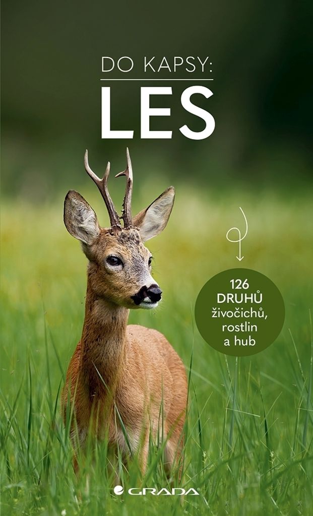 Do kapsy. Les. 126 druhů živočichů, rostlin a hub | Ute Wilhelmsen