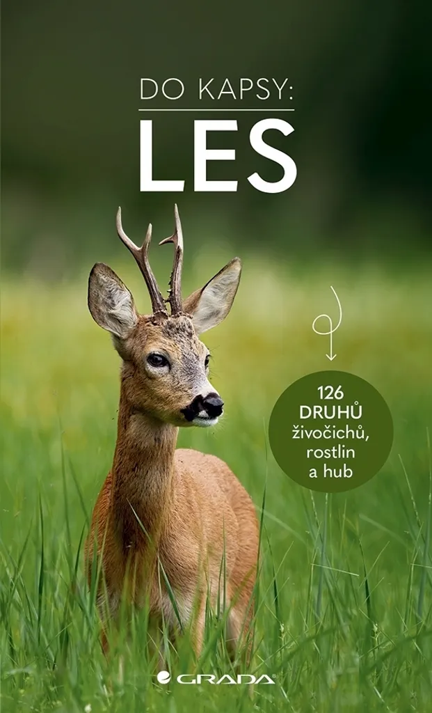 Reconnaître 126 Espèces de la Forêt : Guide Pratique Contre l'Inconnu