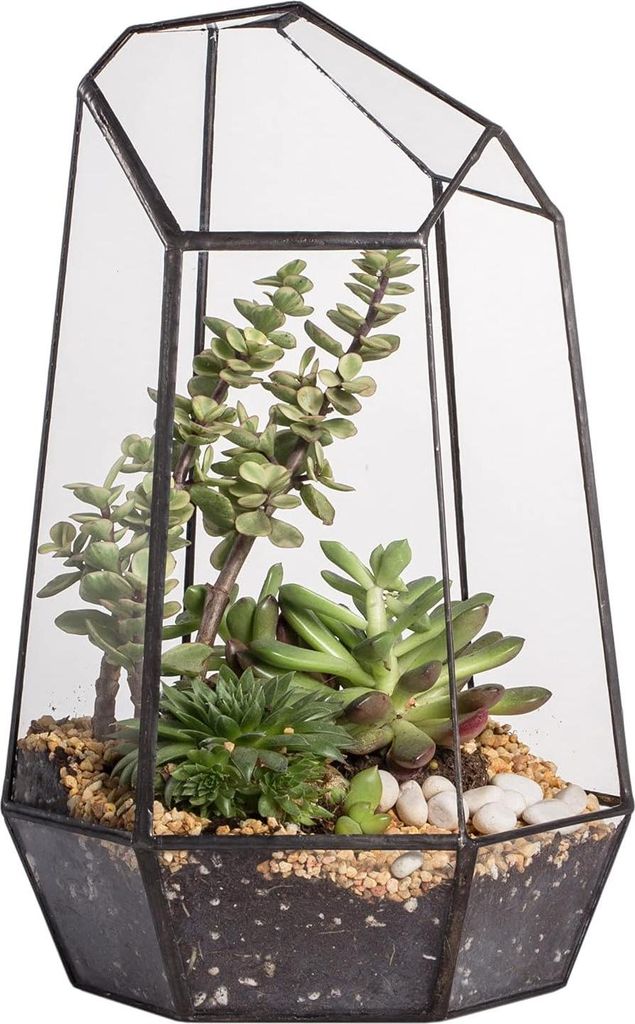 Geometrisches Glasterrarium für Sukkulenten und Luftpflanzen - handgefertigt - schwarz - 165 x 145 x 25 cm