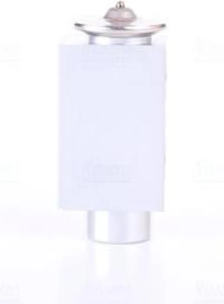 Valve d'expansion de clim Nissens 999251 pour Ford C-Max et Focus II III