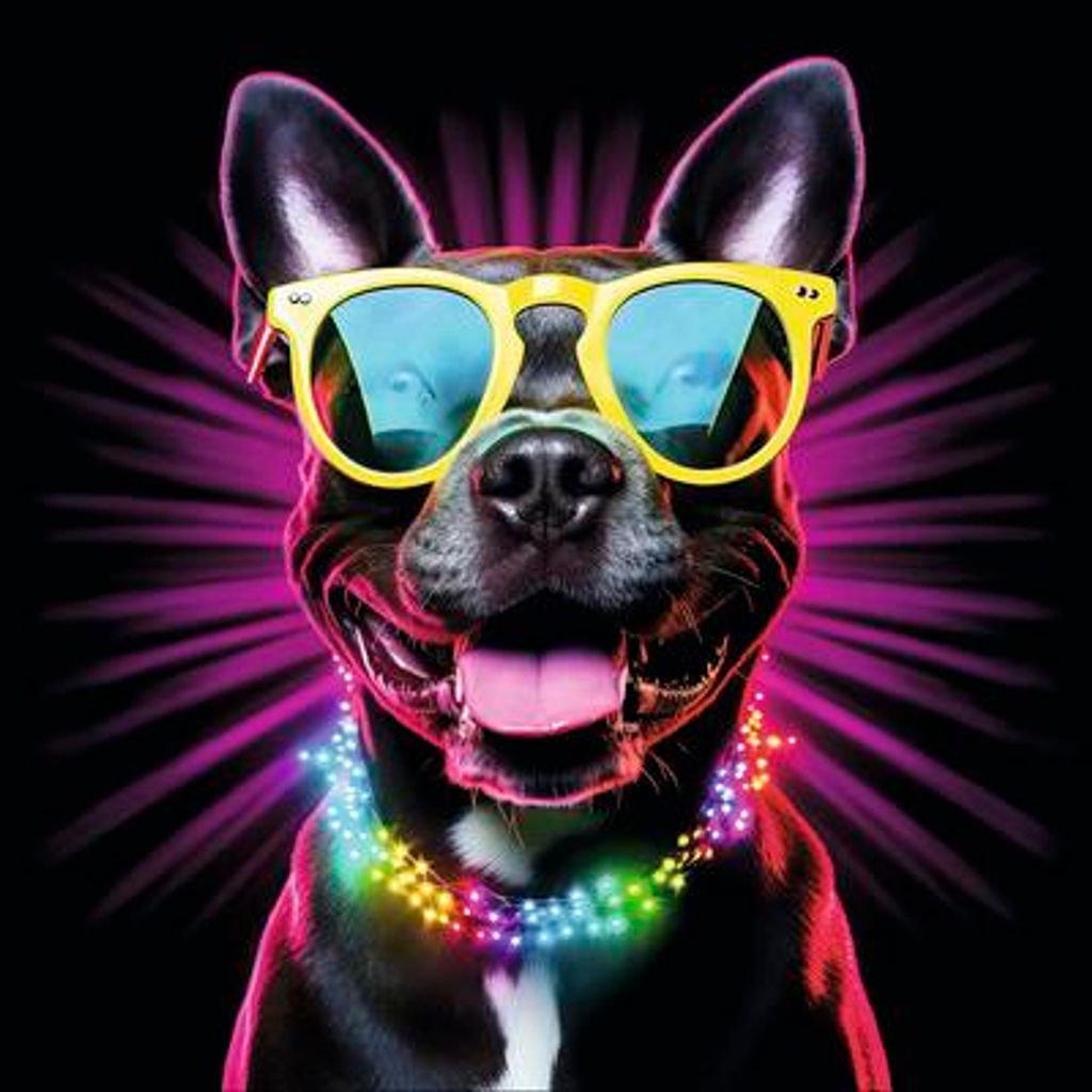 Glasbild Dogs With Sunglasses V 20x20 cm