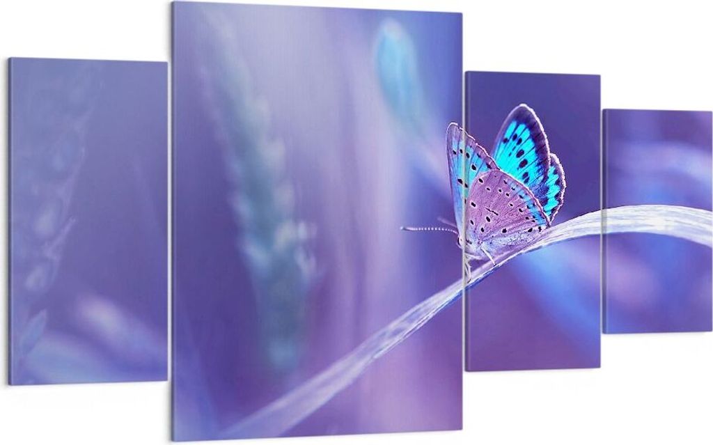Bild auf Leinwand - Leinwandbild - Schmetterling Natur - 160x90cm - Wand Bild - Wanddeko - Leinwanddruck - Bilder - Kunstdruck - Wanddekoration - L...