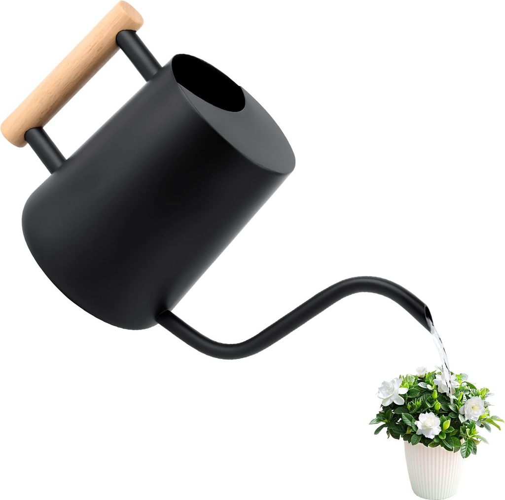 Gießkanne 1L,Giesskanne Zimmerpflanzen Klein Indoor,Giesskanne mit langem Auslauf und komfortablem Holzgriff,Edelstahl Gieskanne Schwarz für Topf...