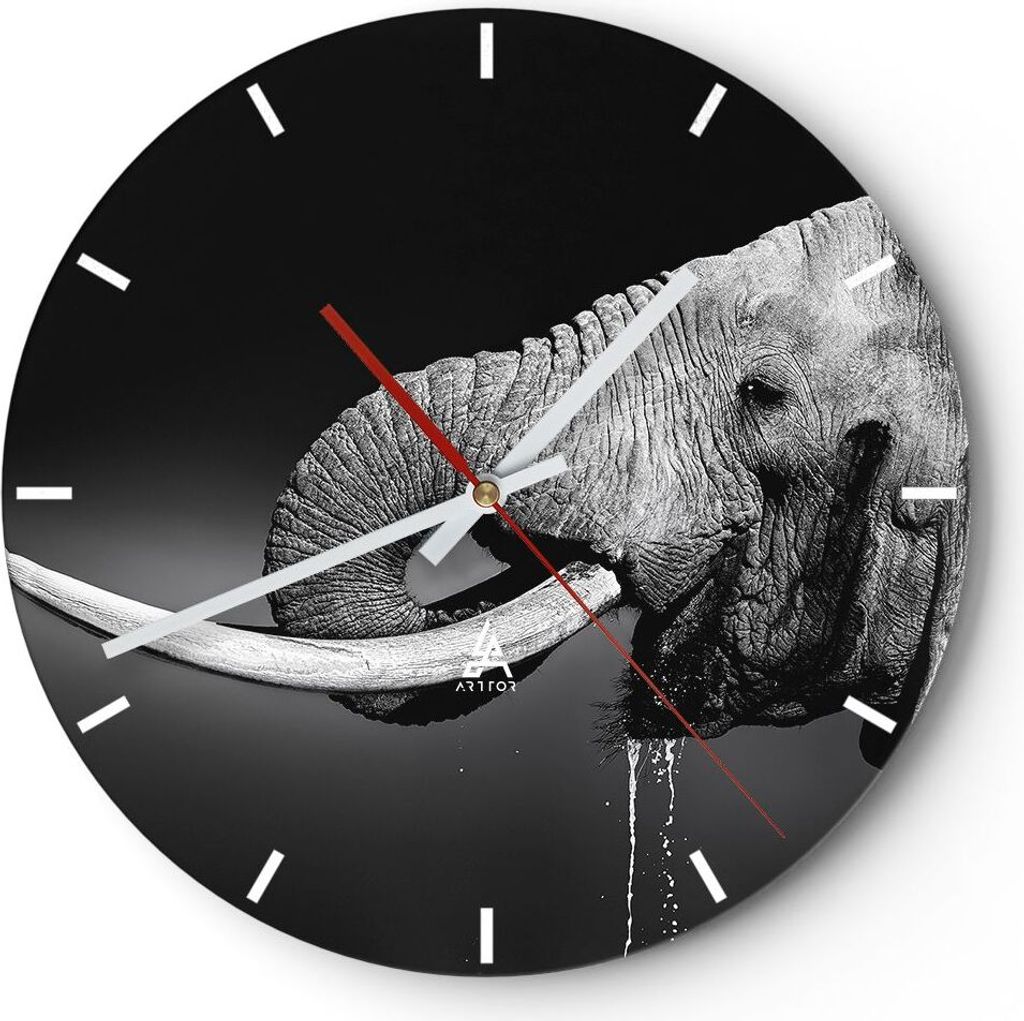 Wanduhr - Rund - Glasuhr - Elefant Stoßzahn Natur - 40x40cm - Schleichendes Uhrwerk - Lautlos - zum Aufhängen bereit - Dekoration Modern - Wandde...