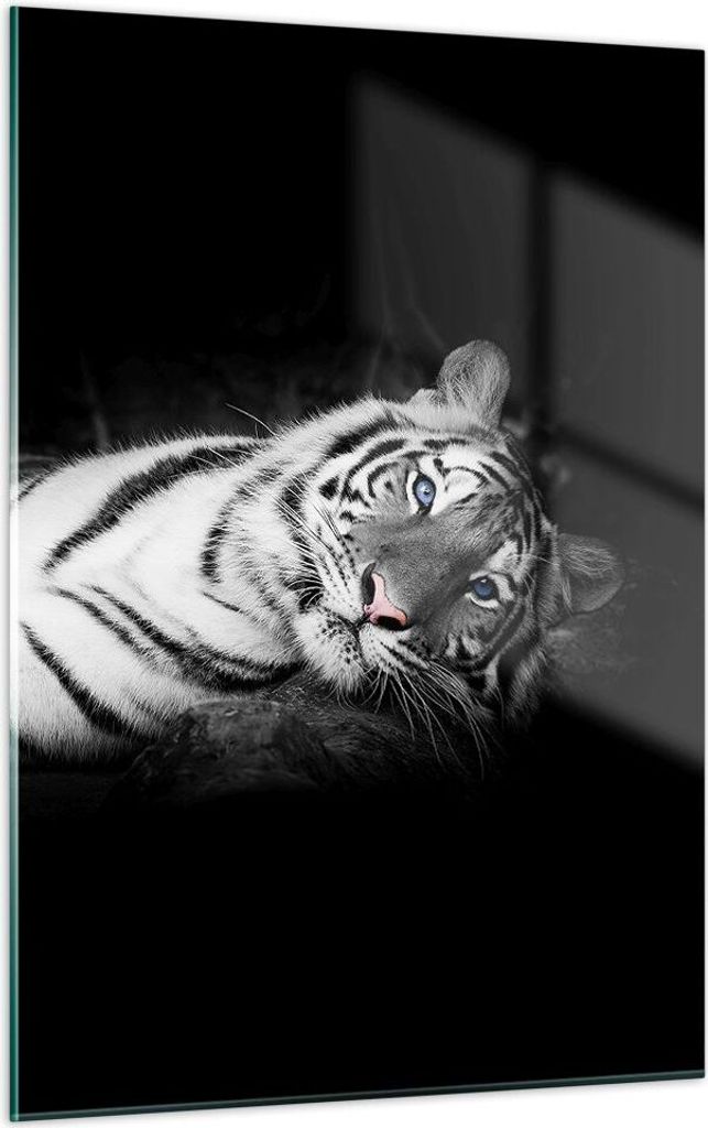 Bilder auf glas - Einteilig - Weiß Tiger Schwarz und Weiß - Produktbild 