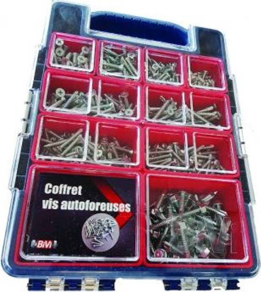 Set mit 755 verzinkten selbstbohrenden Schrauben LENNIE - COFAUTOV2