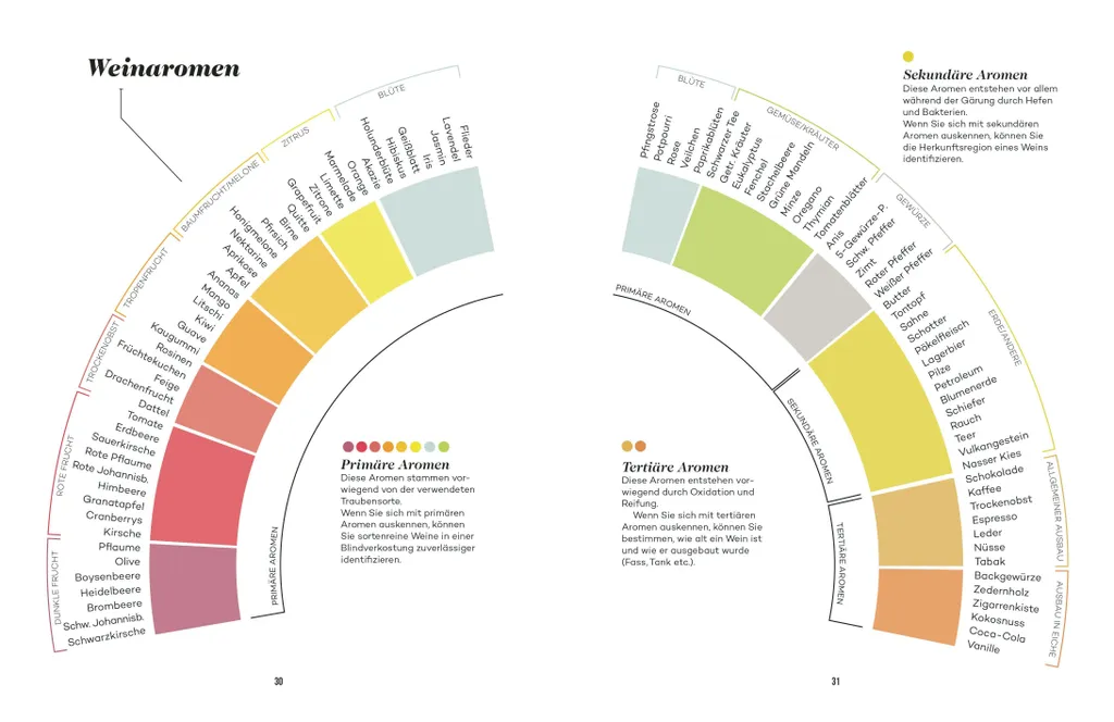 Apprendre le vin avec le Master-Wein-Guide : Accords mets et vins parfaits