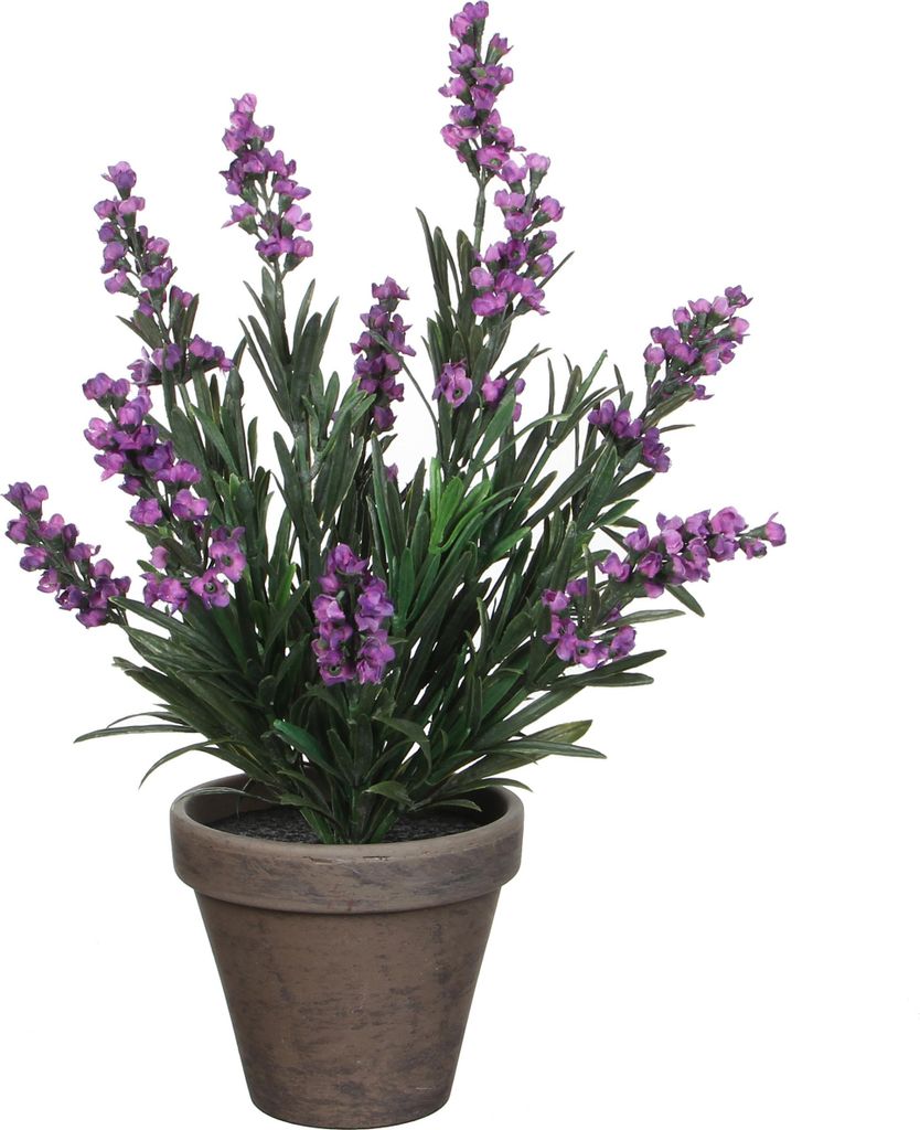 Mica Decorations Lavanda pianta artificiale in vaso Stan - Immagine del prodotto 