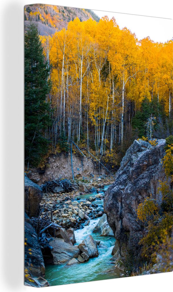 OneMillionCanvasses - Leinwandbilder - 90x140 cm, Baum - Steine - Amerika, Wandbilder Kunstdruck Wanddekoration - Wandschmucke - Schlafzimmer