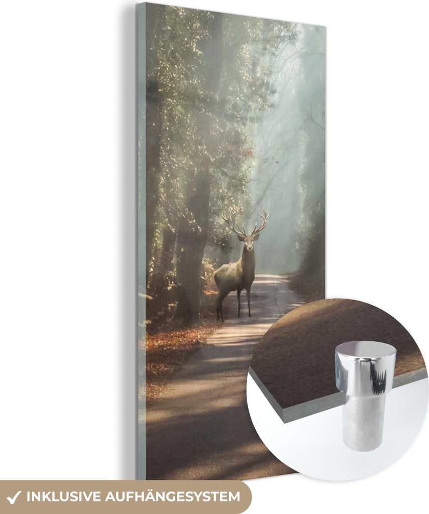 MuchoWow Glasbilder - Bilder auf Wandbild - Foto auf Glas Hirsche - Wald - Sonnenstrahlen 60x120 cm Wanddekoration aus Glas - Acrylglasbild - Acryl...