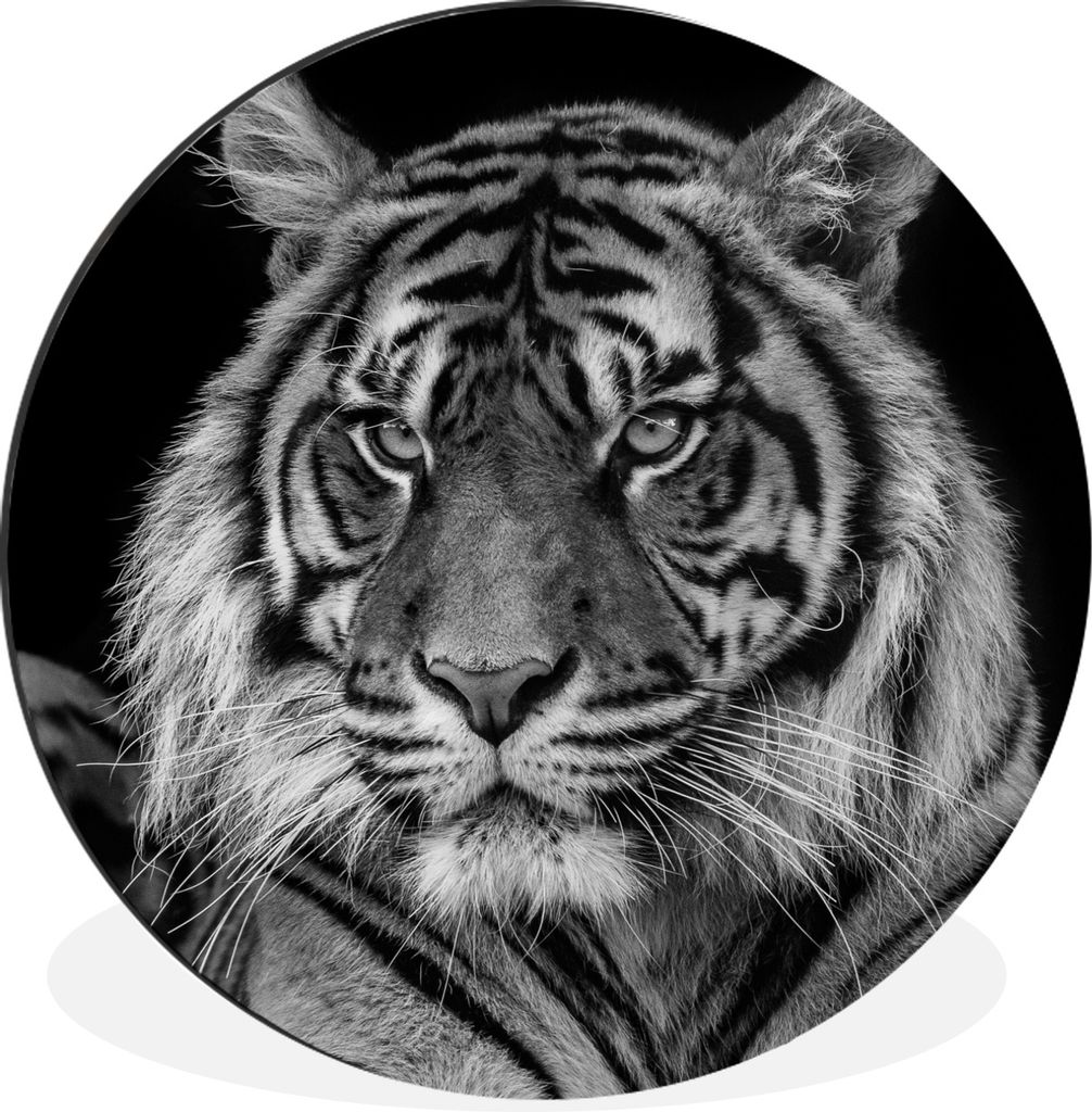MuchoWow Aluminium Wandkreis Sumatra-Tiger auf schwarzem Hintergrund Ø 90 cm Wanddeko Modern Wohnzimmer - Mauerkreis - Wandbilder - Runde Bild -...