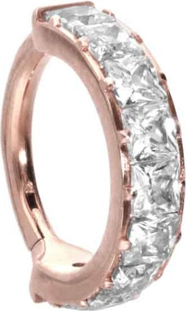 Ohrpiercing, Nasenpiercing, Septum Piercing Titan Segmentring Clicker EINGEFASSTE KRISTALLE RoséGold Innendurchmesser: 8 mm