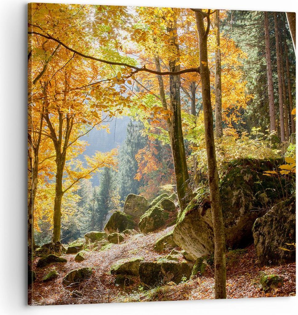 Bild auf Leinwand - Leinwandbild - Herbst berg wald natur - 60x60cm - Wand Bild - Wanddeko - Leinwanddruck - Bilder - Kunstdruck - Wanddekoration -...