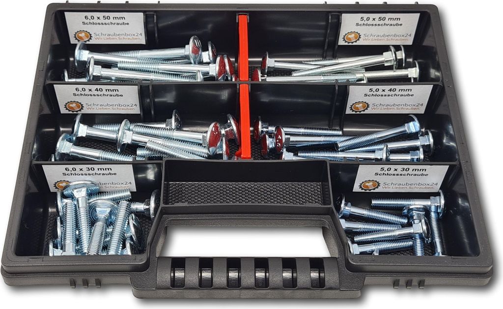 Flachkopfschrauben Sortiment M5-M6 // 30mm-50mm 60 tlg. Schraubenbox DIN 603 Bolzen Vollgewindeschrauben Maschinenschrauben Gewindeschrauben Flachk...
