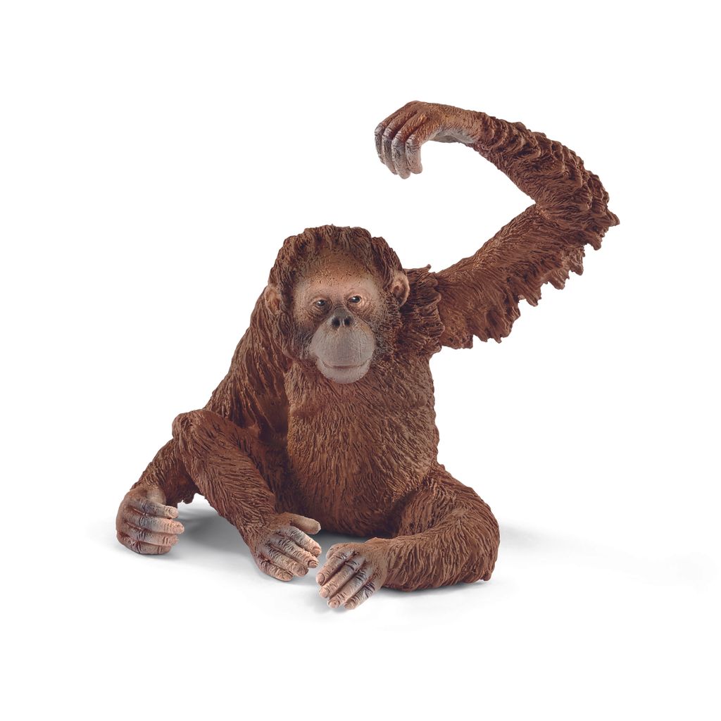 Schleich - Tierfiguren, Orang-Utan Weibchen; 14775 Produktbild 