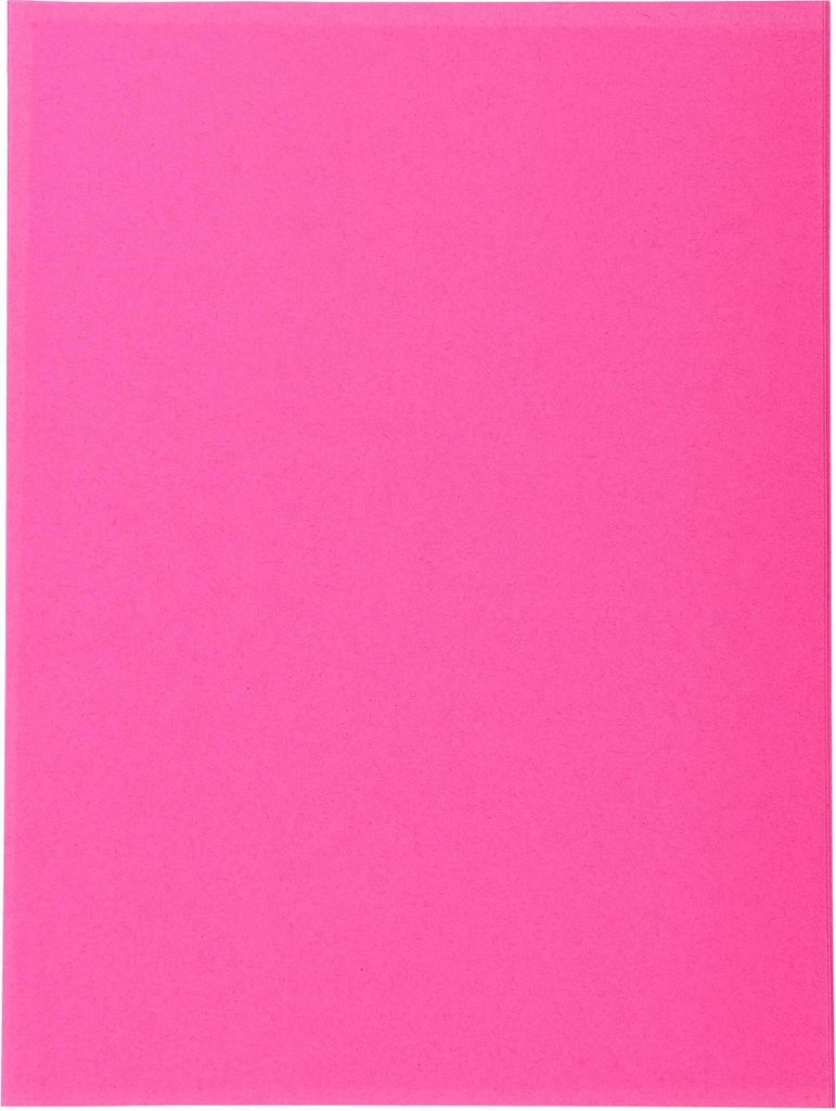 Exacompta 5x 100er Aktendeckel Recycling 24x32cm - Fuchsia - 420020E