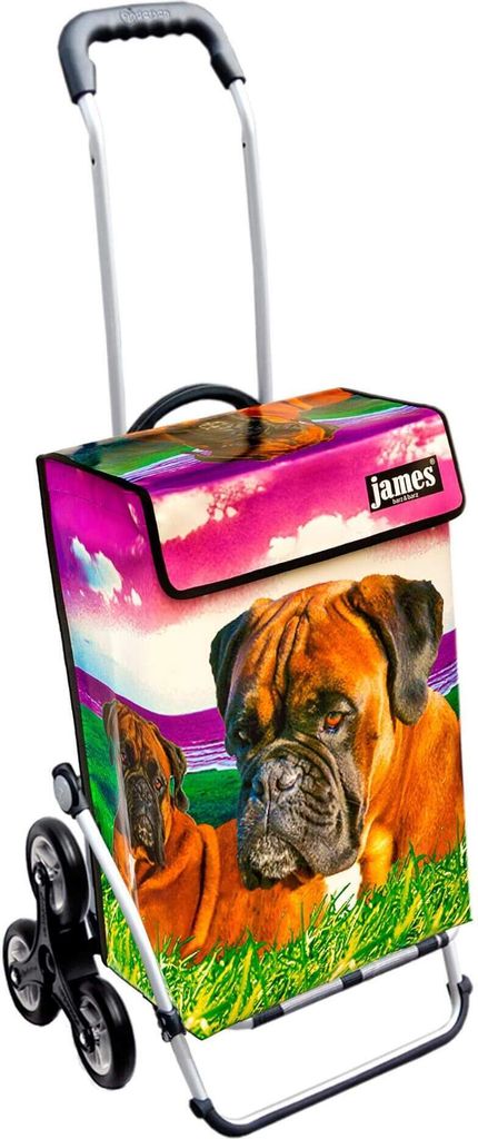 James Einkaufstrolley - BOXER - stabiler Einkaufswagen mit individuellem Design - einfarbig: braun in Ausführung: Royal-Treppensteiger