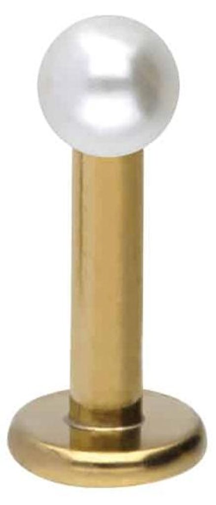 Ohrpiercing, Nasenpiercing Chirurgenstahl Labret SYNTHETISCHE PERLE Gold Stablänge: 6mm | Stabstärke: 1,6mm | Perlengröße: 4mm