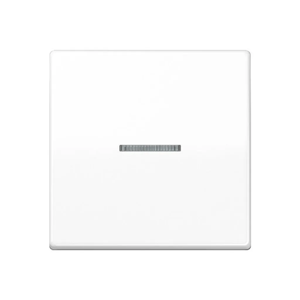 Protection prise fibre optique Jung AS 591 KO5BF WW contre Poussière