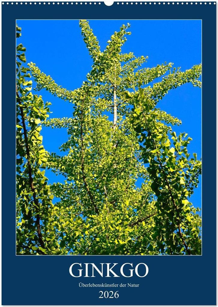 Ginkgo (Wandkalender 2026 DIN A2 hoch), CALVENDO Monatskalender