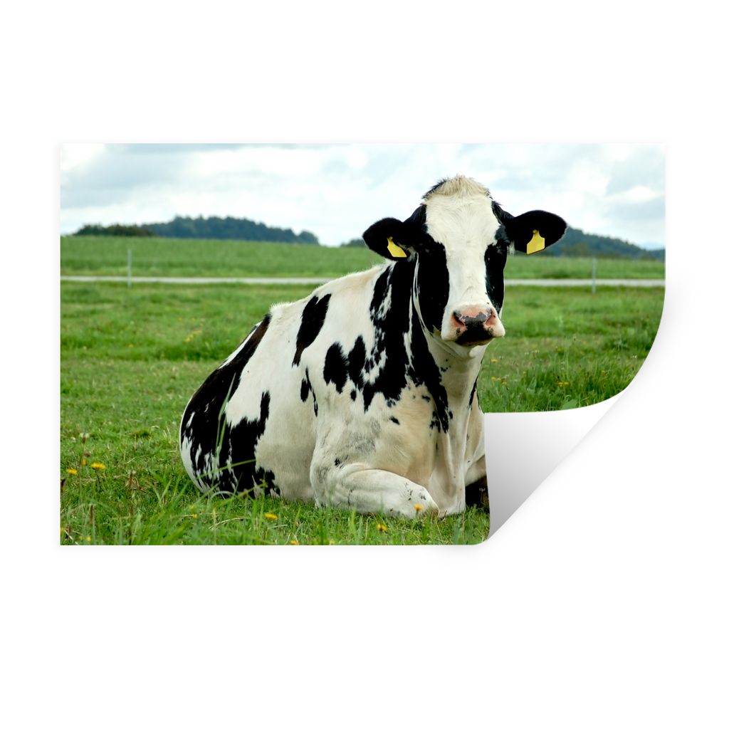 MuchoWow Wandtattoo Wandsticker Wandaufkleber Kuh - Friesland - Tier 90x60 cm Selbstklebend und Repositionierbar - Aufkleber