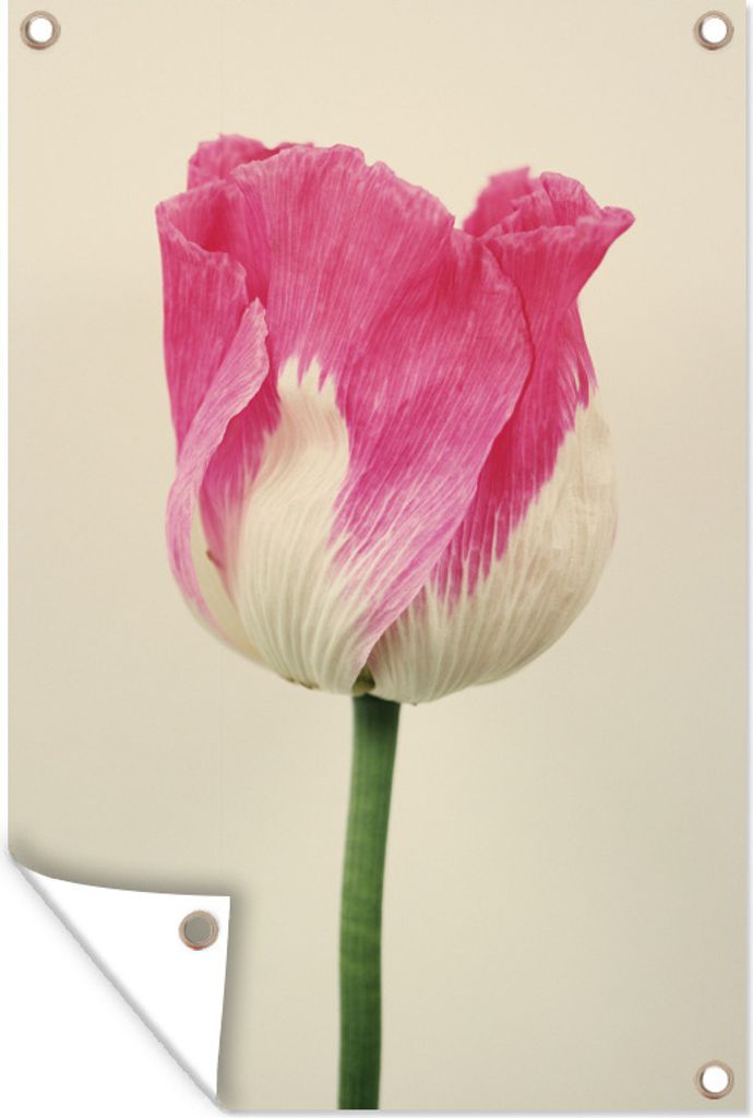 MuchoWow 40x60 cm Outdoor-Poster Gartendeko Sichtschutz Garten Poster für den Garten Die rosa gefaltete Schlafkugel