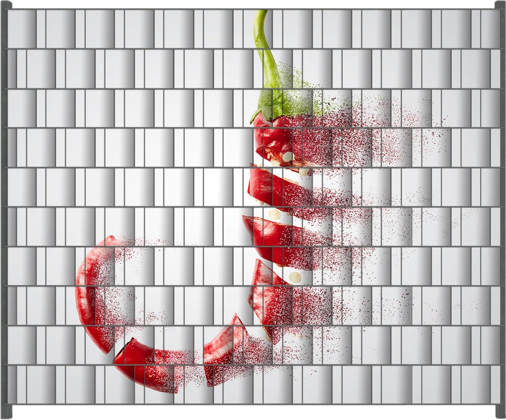 Wallario Zaunsichtschutz mit Motiv Chilischote löst sich in Pulver auf für Ein- und Doppelstabmatten Zäune in der Größe 250 x 200 cm