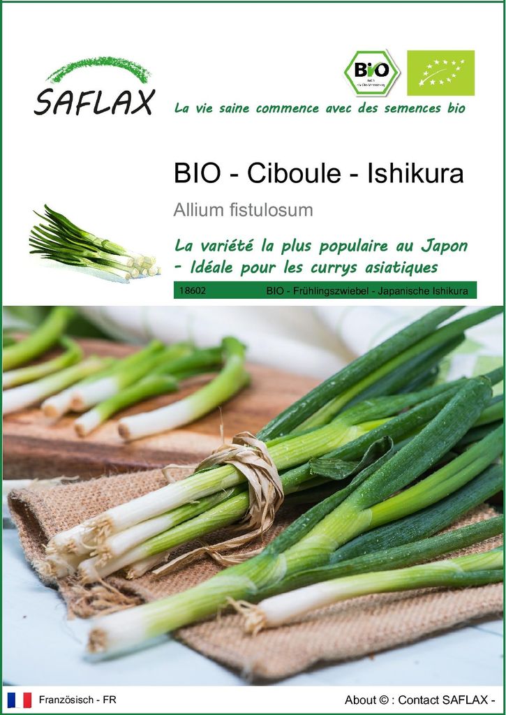 SAFLAX  -- Ciboule - Ishikura - 150 graines - Allium Image du produit 