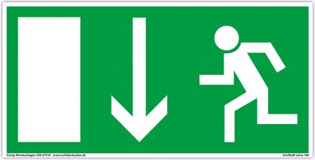 Schild nachleuchtend BGV 8A Notausgang | 297x148 | abwärts
