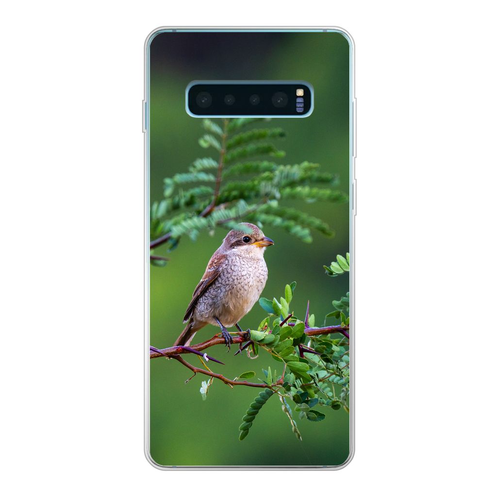 MuchoWow Handyhülle Schutzhülle Hülle für Samsung Galaxy S10 Lite Vogel - Baum - Wald Silikon Softcase Handy Hülle - Schutz