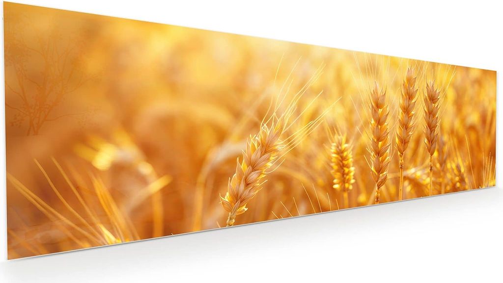 Glasbild 120x40cm in XXL für Wohnzimmer, Schlafzimmer Motiv Weizenfeld Sonnenuntergang