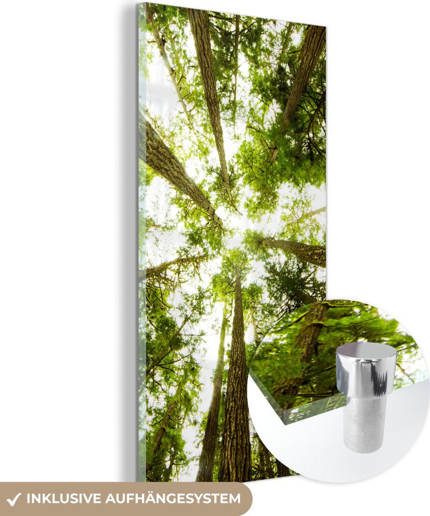 MuchoWow Glasbilder - Bilder auf Wandbild - Foto auf Glas Hohe grüne Bäume im Dschungel 60x120 cm Wanddekoration aus Glas - Acrylglasbild - Acryl...