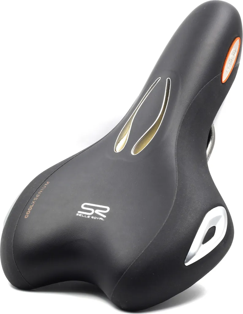 Selle Royal Lookin Selle Ergonomique avec Royalgel et Rails en Acier