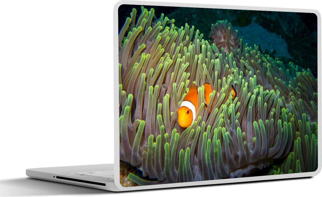 MuchoWow Laptop Aufkleber Sticker Cover Fisch - Anemone - Grün 30x22 cm - Laptop-Sticker