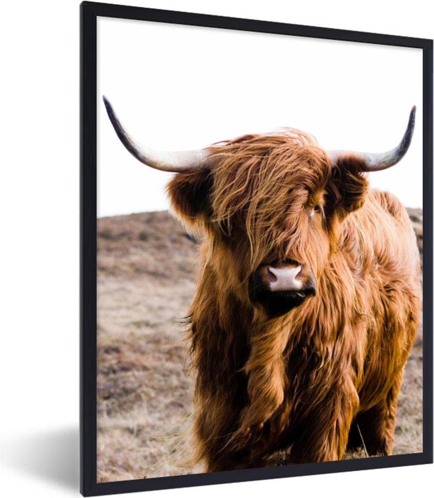 MuchoWow Gerahmtes Poster Schottische Highlander - Landschaft - Kuh - Braun - Tiere - Natur 30x40 cm - Poster mit Schwarzem Bilderrahmen Wandpost...