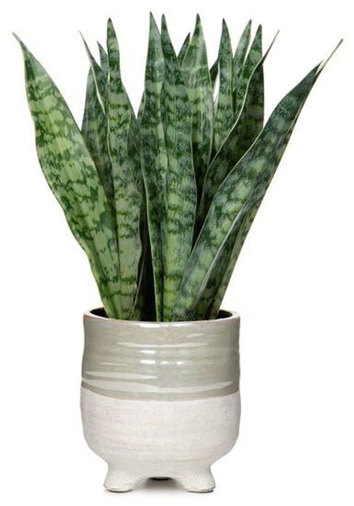 Unyqoos Kunstpflanze mit keramischer Blumentopf für stilvolle Wohn- und Büroumgebungen