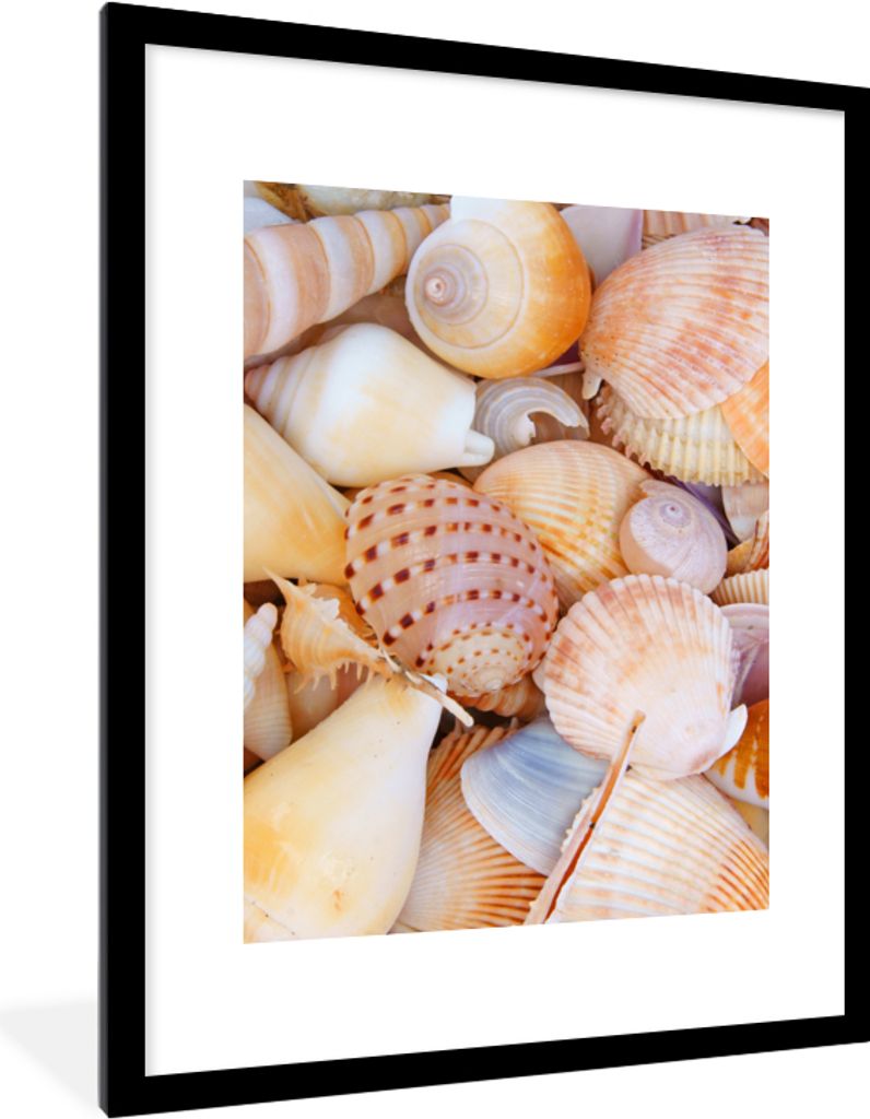 MuchoWow® Gerahmtes Poster Muscheln - Strand - Sommer - Produktbild 