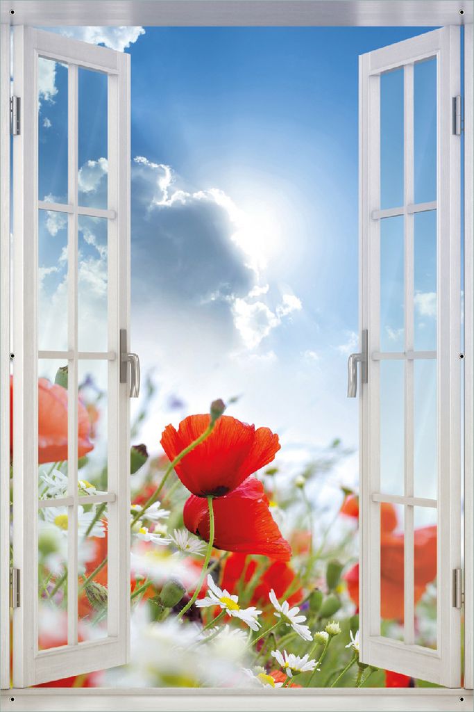 Wallario Outdoor-Poster für Garten oder Balkon 61 x 91,50 cm: Mohnblumen unter blauem Himmel