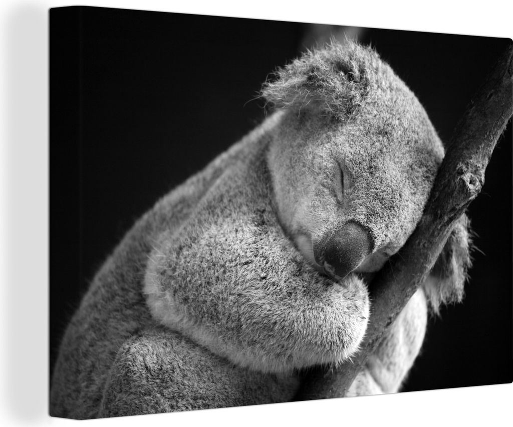 OneMillionCanvasses - Leinwandbilder - 140x90 cm, Koala - Schlafend - Schwarz - Kinder - Jungen - Mädchen, Wandbilder Kunstdruck Wanddekoration ...