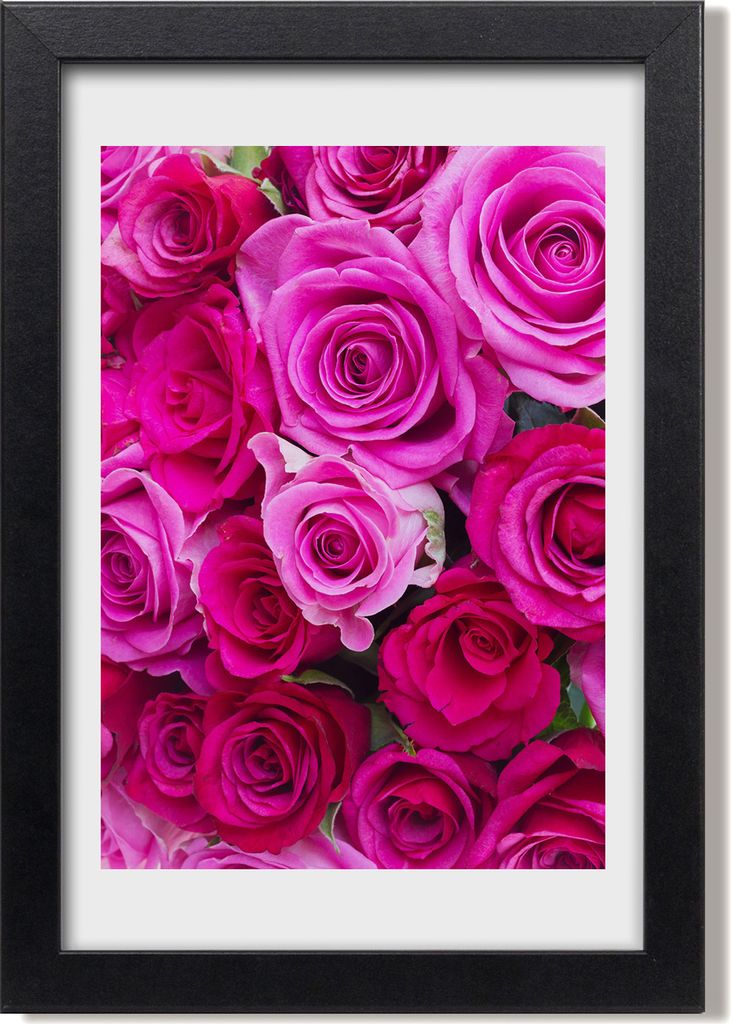 Bild 20x30 MDF-Rahmen, Wandkunst Rosa Rosen Produktbild 