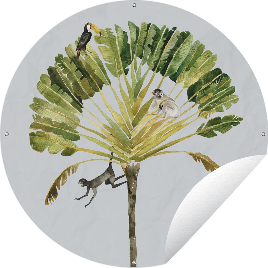 MuchoWow Gartenposter Outdoor-Poster Rund Dschungel - Affe - Tukan Ø 60 cm Gartendeko Rundes Poster draußen