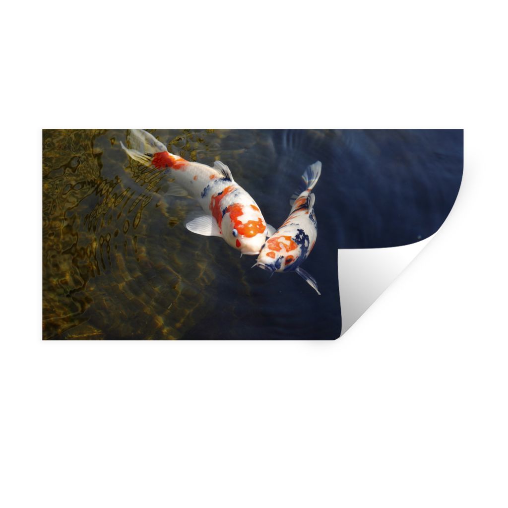MuchoWow Wandtattoo Wandsticker Wandaufkleber Zwei Koi-Karpfen im Wasser 120x60 cm Selbstklebend und Repositionierbar - Sticker - Dekorfolie